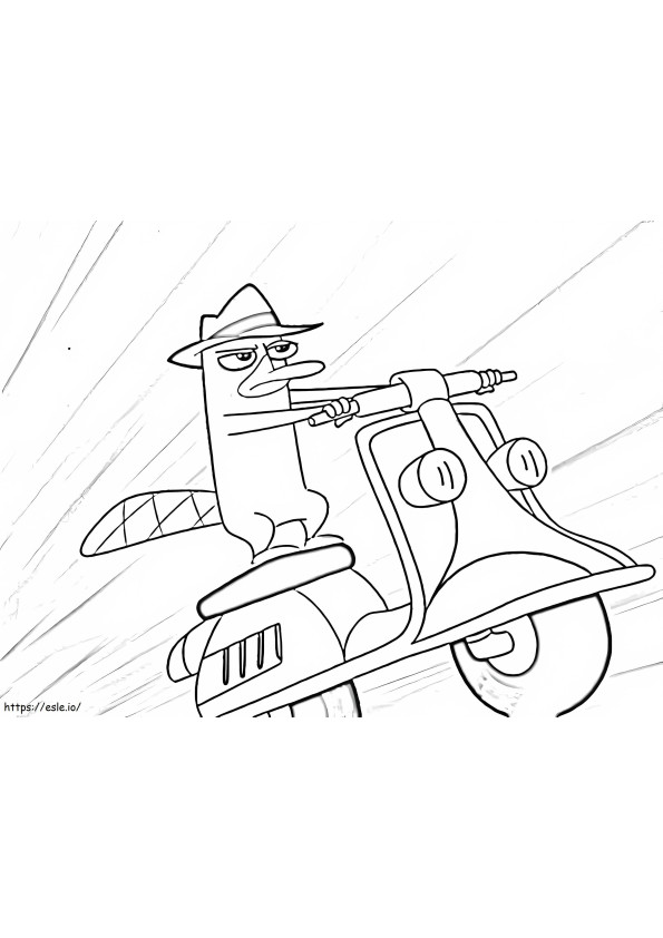 Perry alla guida di una moto da colorare