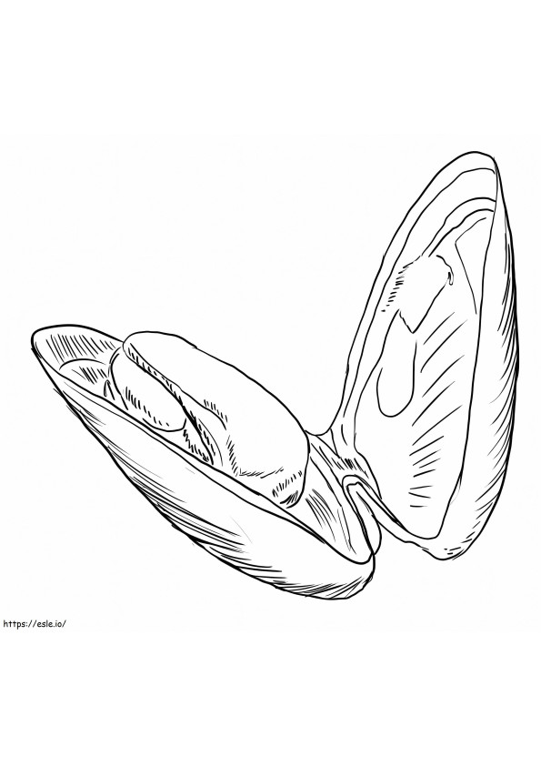 Mussel Printable coloring page
