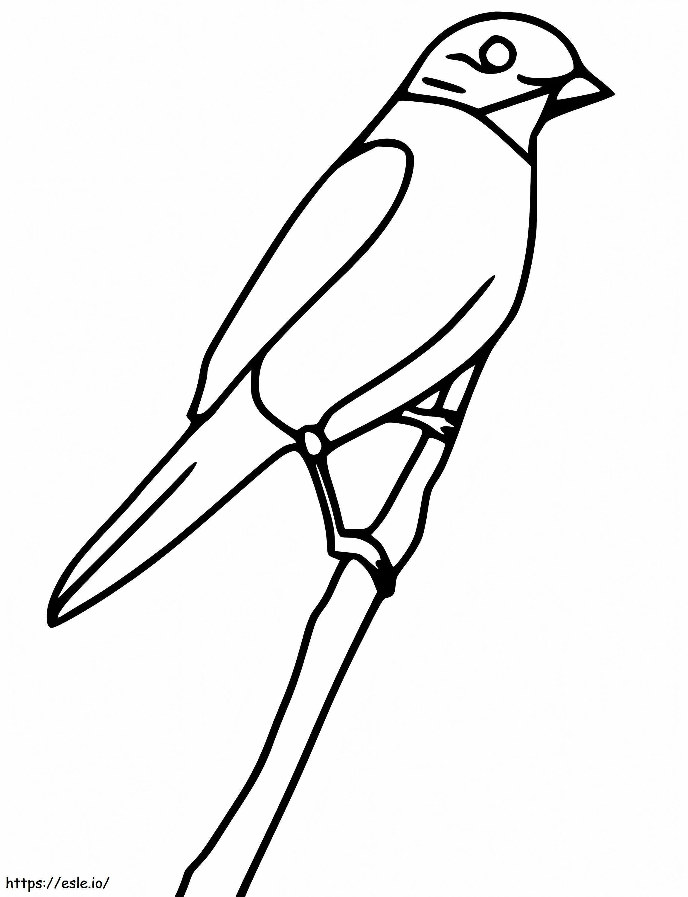 Burung Biru Sederhana Gambar Mewarnai