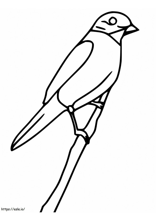 Uccello azzurro semplice da colorare
