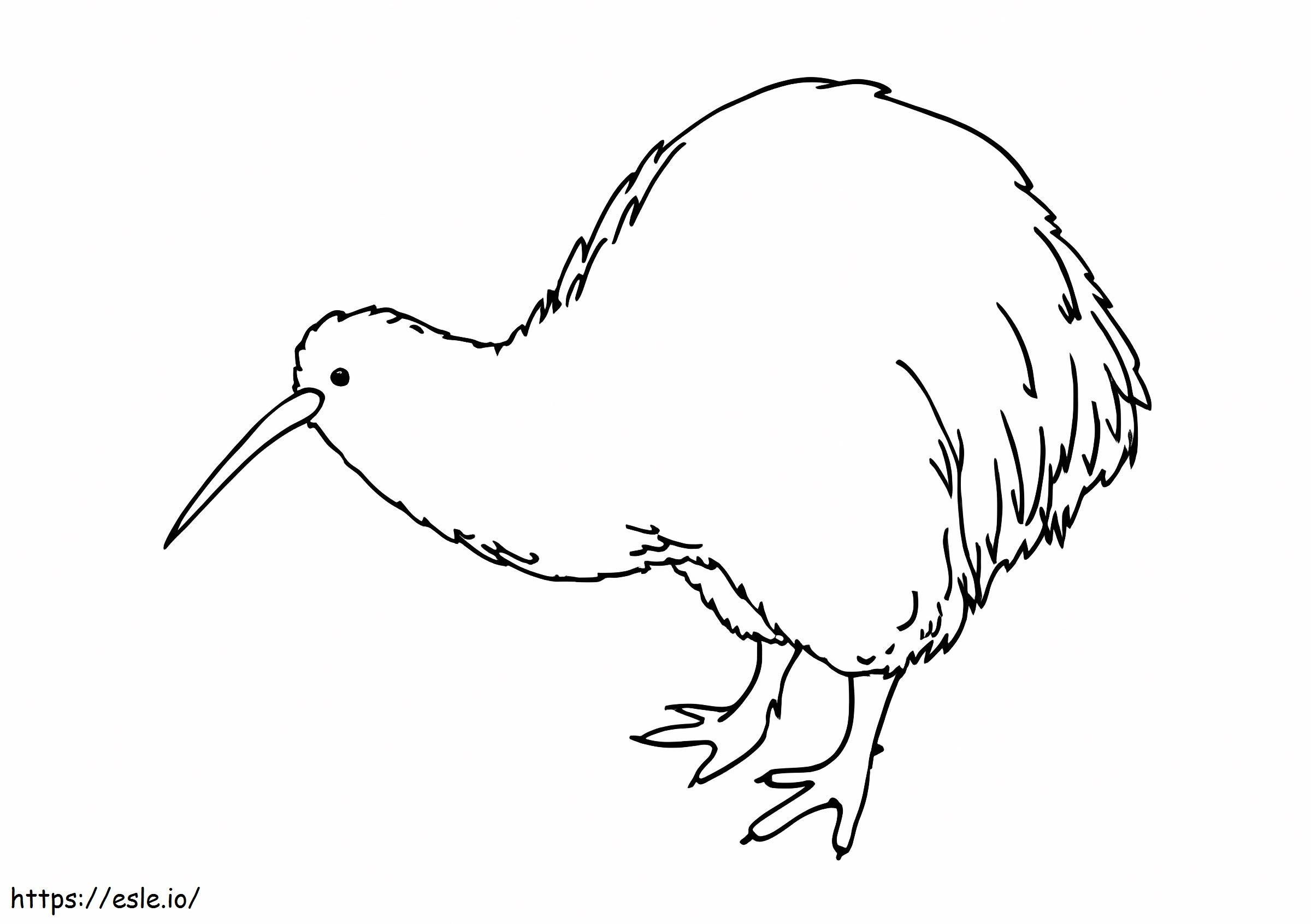 Coloriage Superbe oiseau kiwi à imprimer dessin