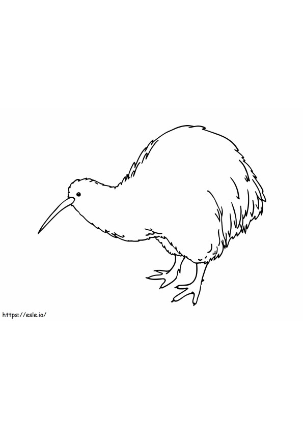 Prachtige Kiwivogel kleurplaat