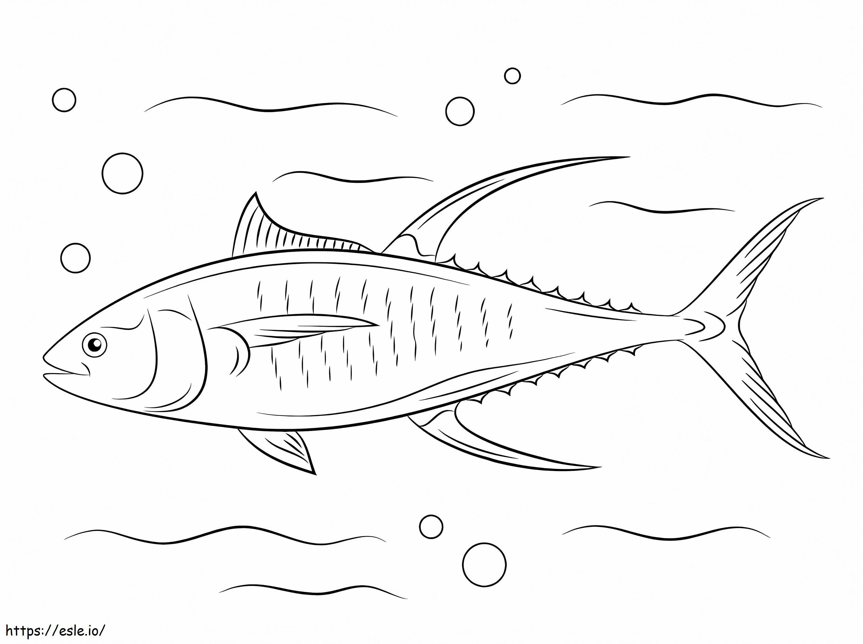 Tuńczyk żółtopłetwy kolorowanka