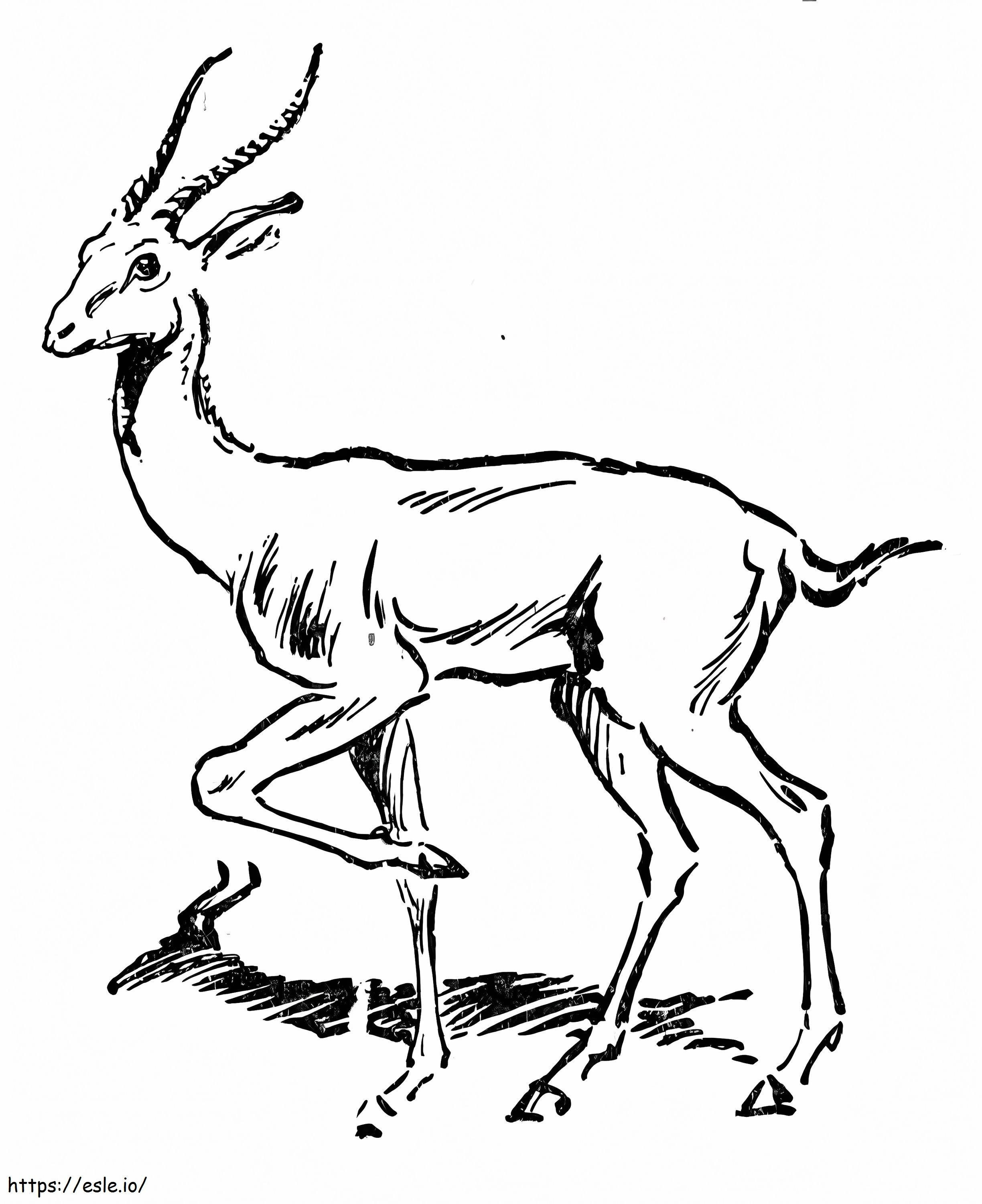 Antilope zum ausdrucken ausmalbilder