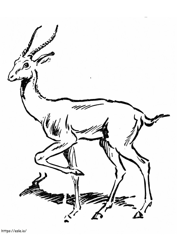 Coloriage Antilope imprimable à imprimer dessin