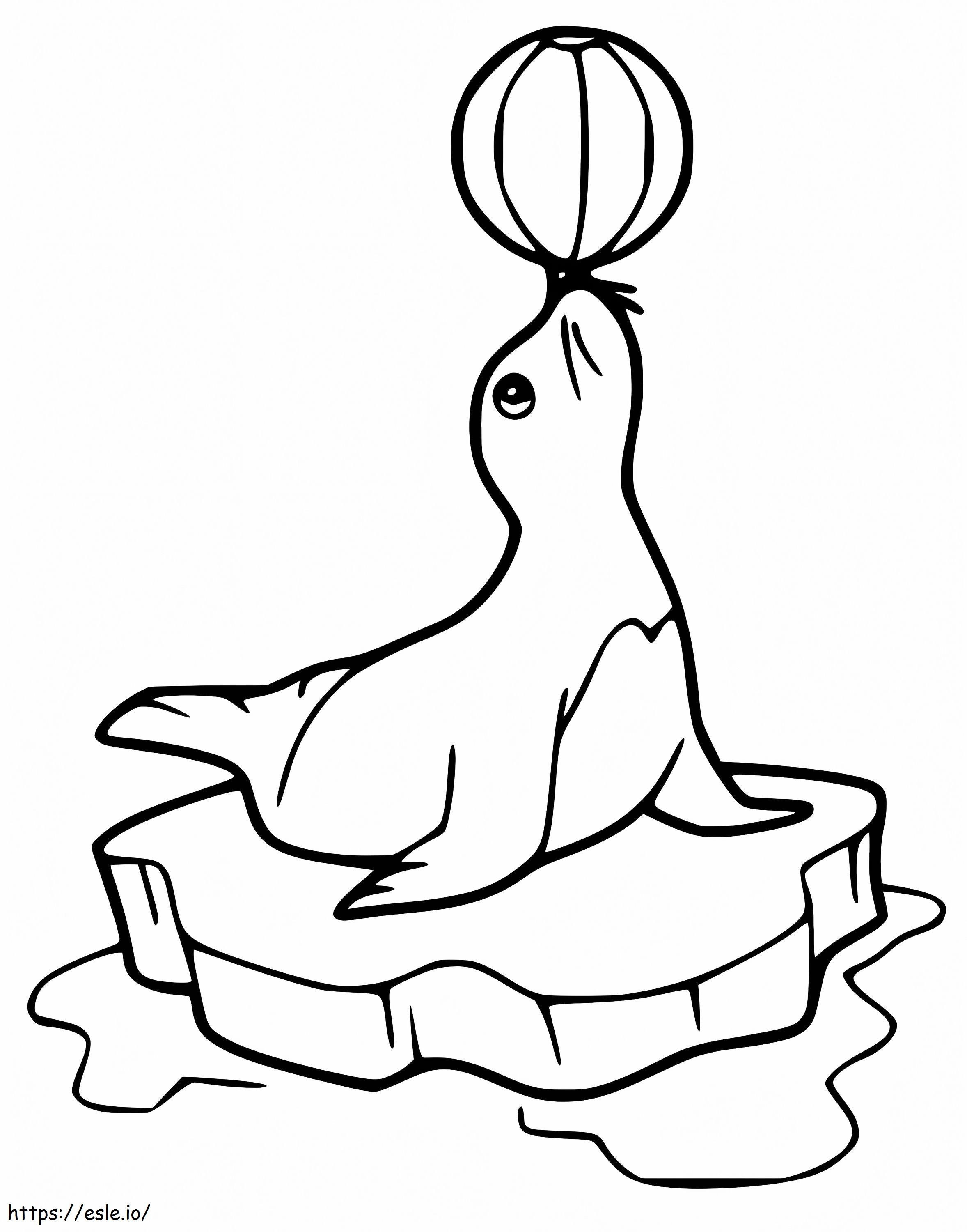 Sea Lion On Ice coloring page