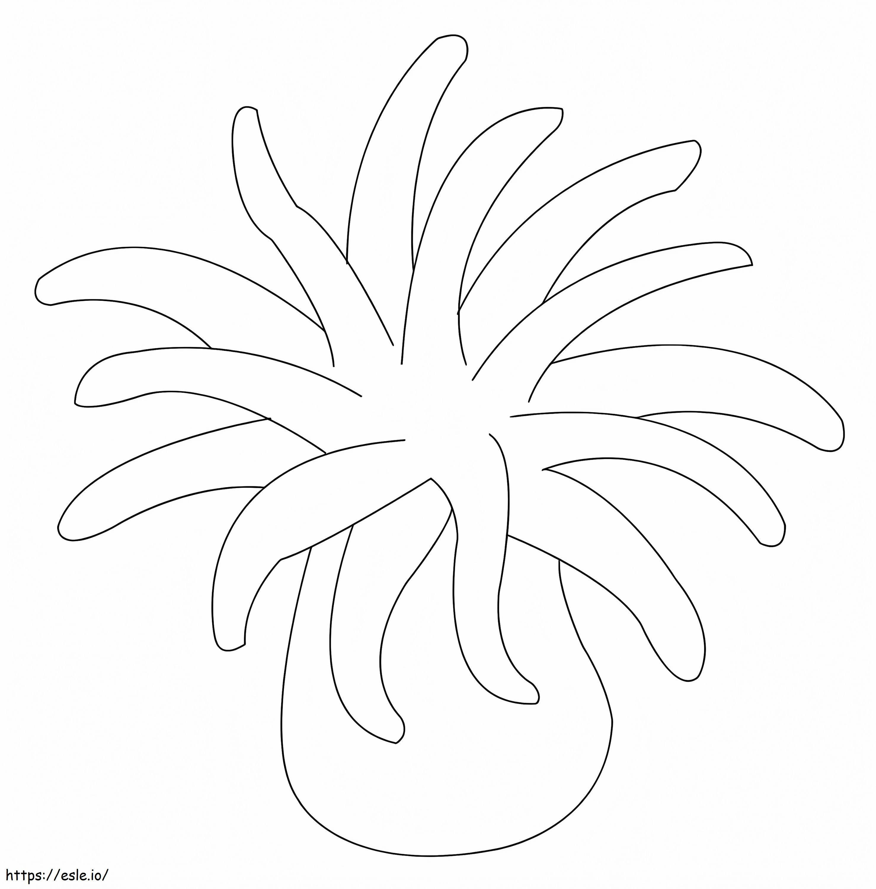 Simple Sea Anemone coloring page