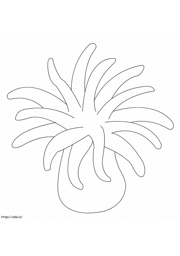 Simple Sea Anemone coloring page
