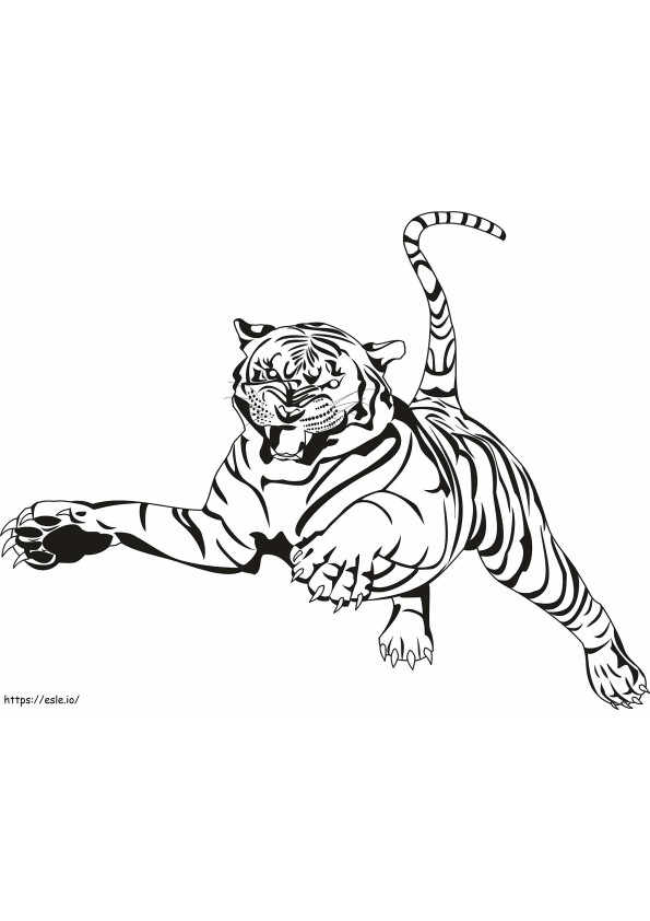 1542596523 1539833799 Informacyjny tygrys szablozębny Bezpłatne świeże tygrysy 1599 1225 kolorowanka