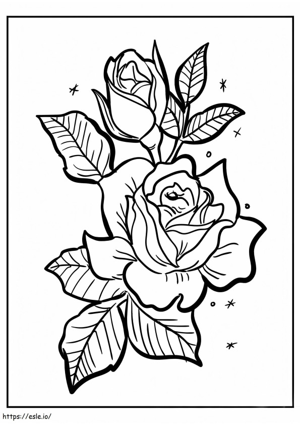 Pretty Rose
