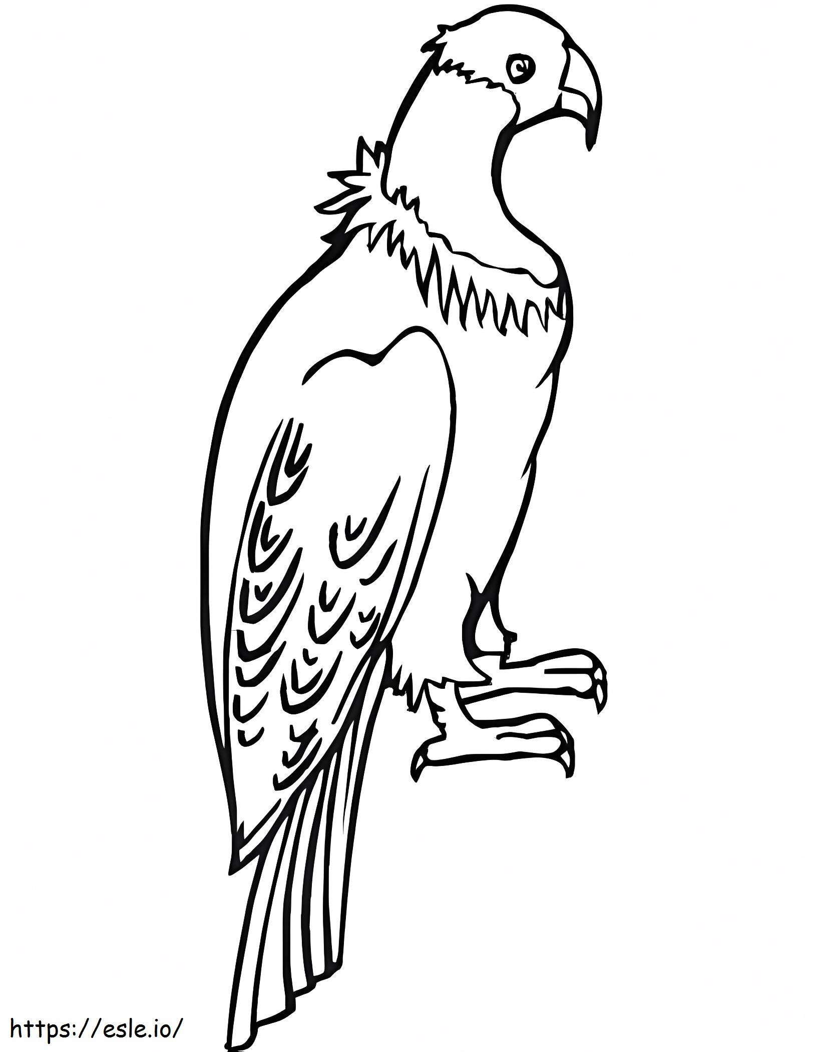 Basic Condor coloring page
