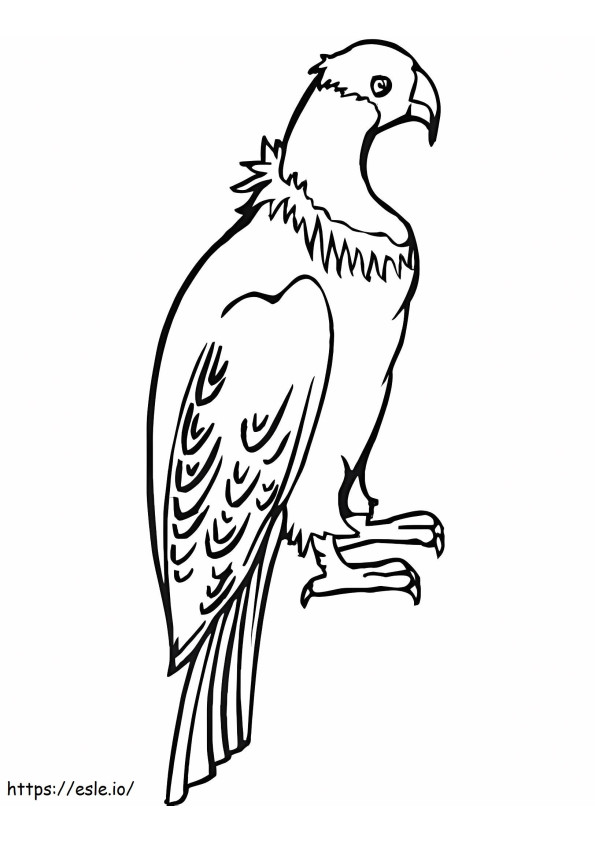 Basic Condor coloring page