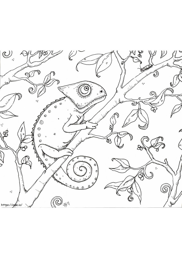 Camaleão em galho de árvore para colorir