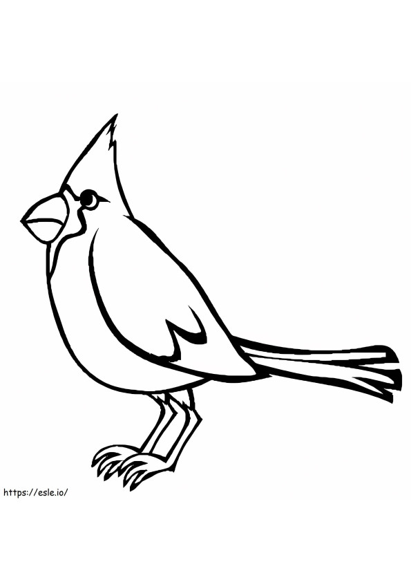 Cardinal To Print coloring page
