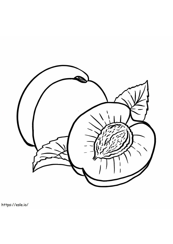Apricot Kernel Oil coloring page