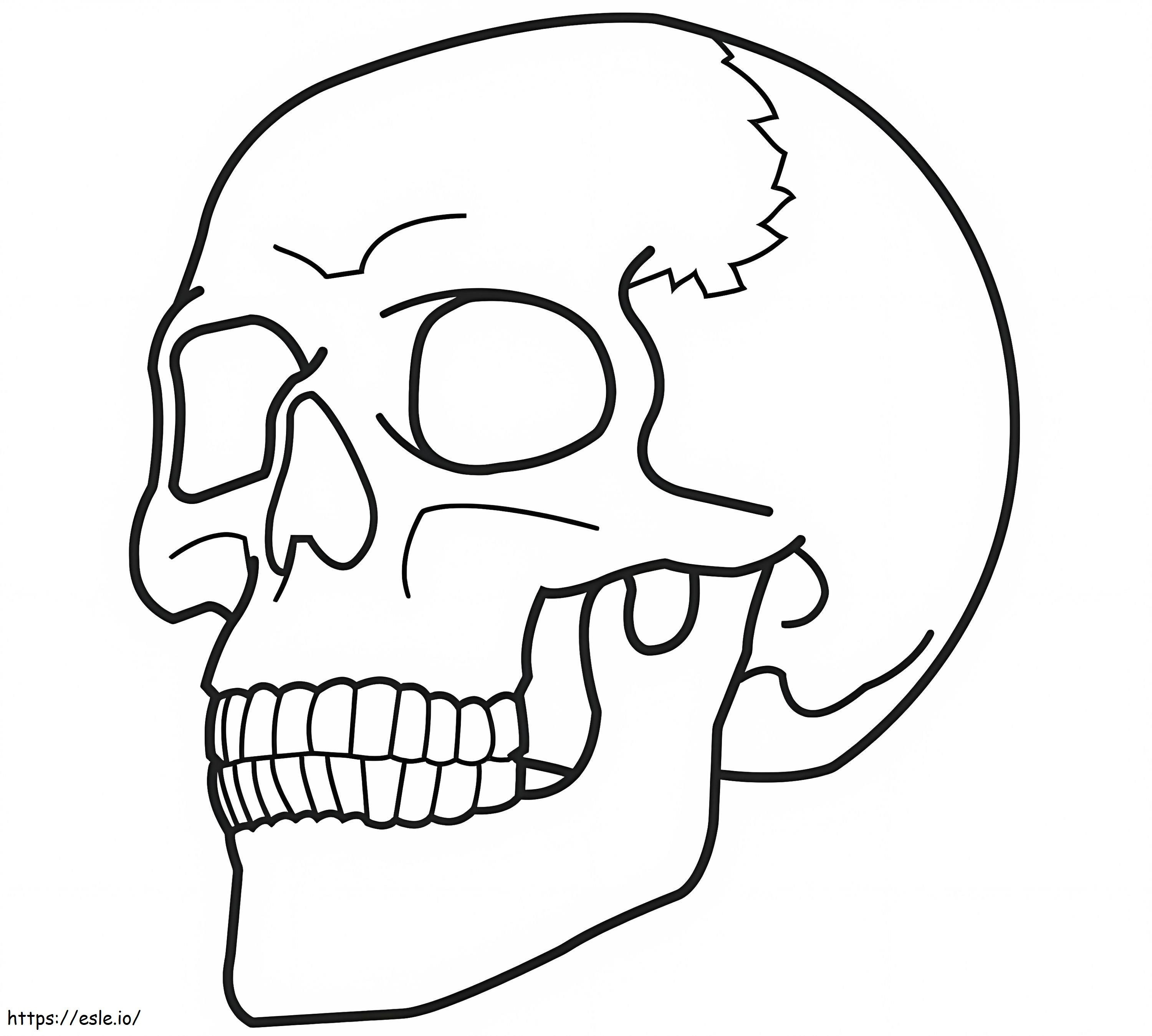 Coloriage Crâne normal à imprimer dessin