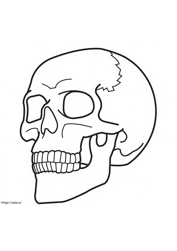 Normal Skull coloring page