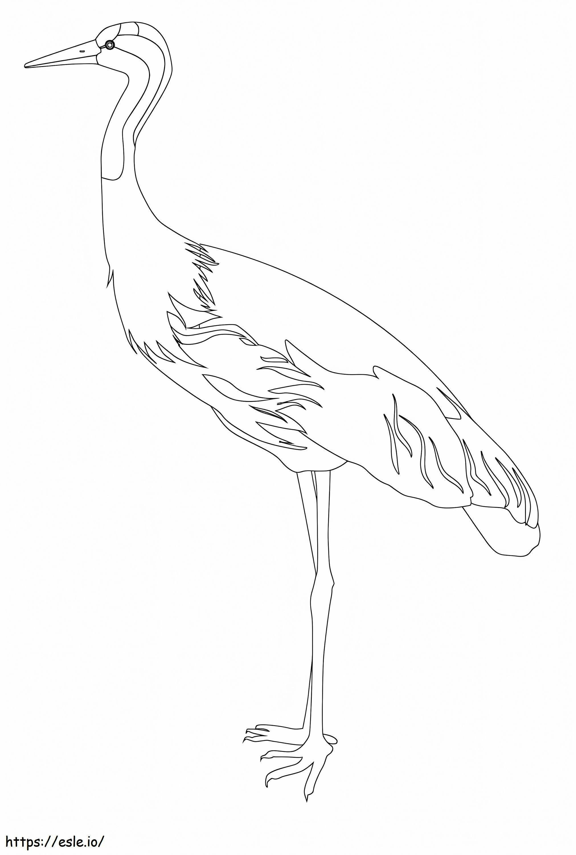Coloriage Oiseau secrétaire imprimable à imprimer dessin
