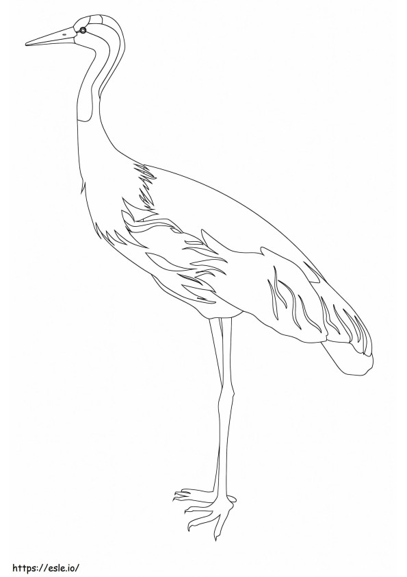 印刷可能な秘書の鳥 ぬりえ - 塗り絵