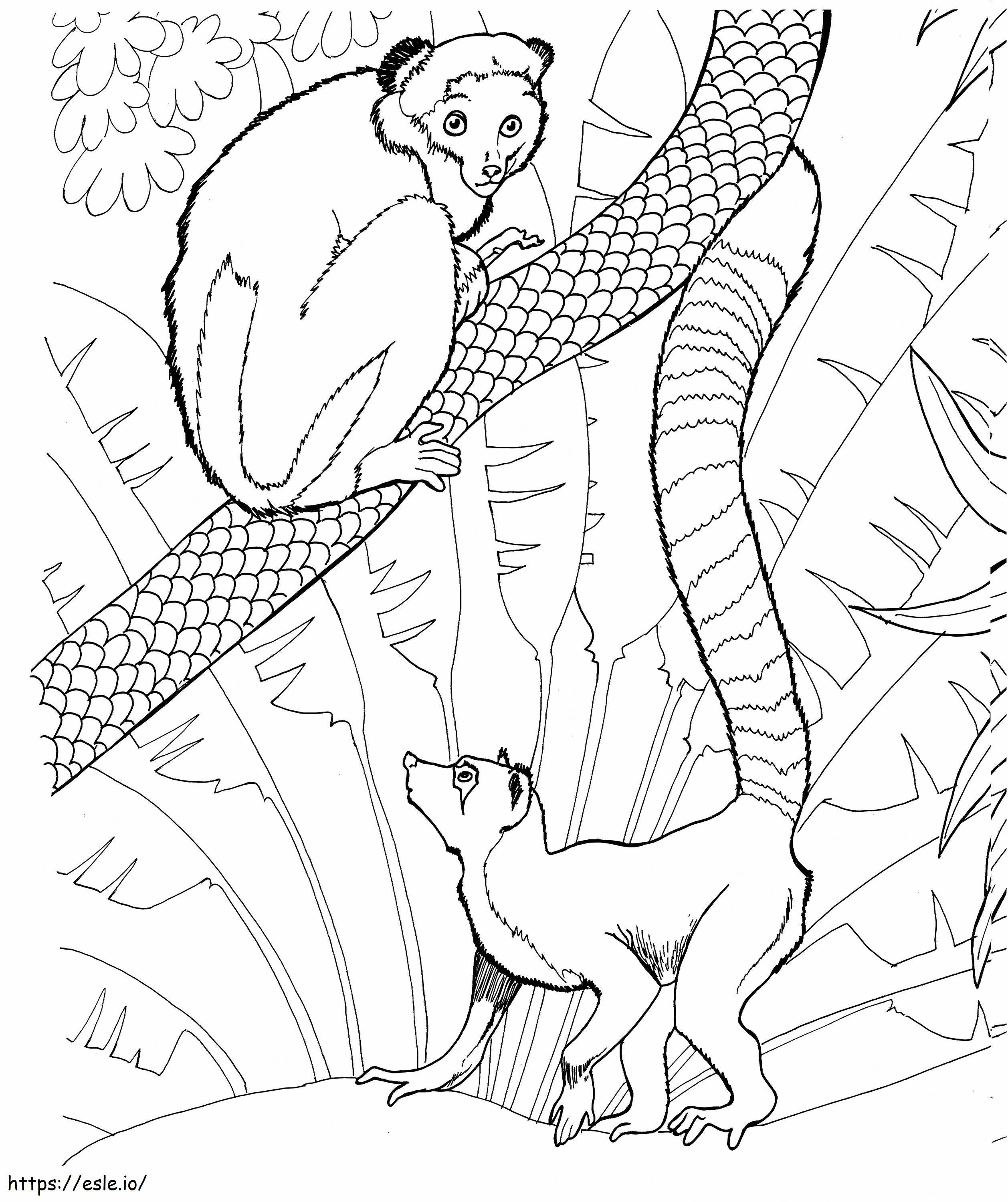 Dos Scaled Lemurs coloring page