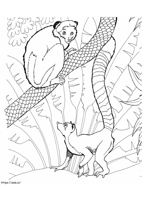 Dos Scaled Lemurs coloring page