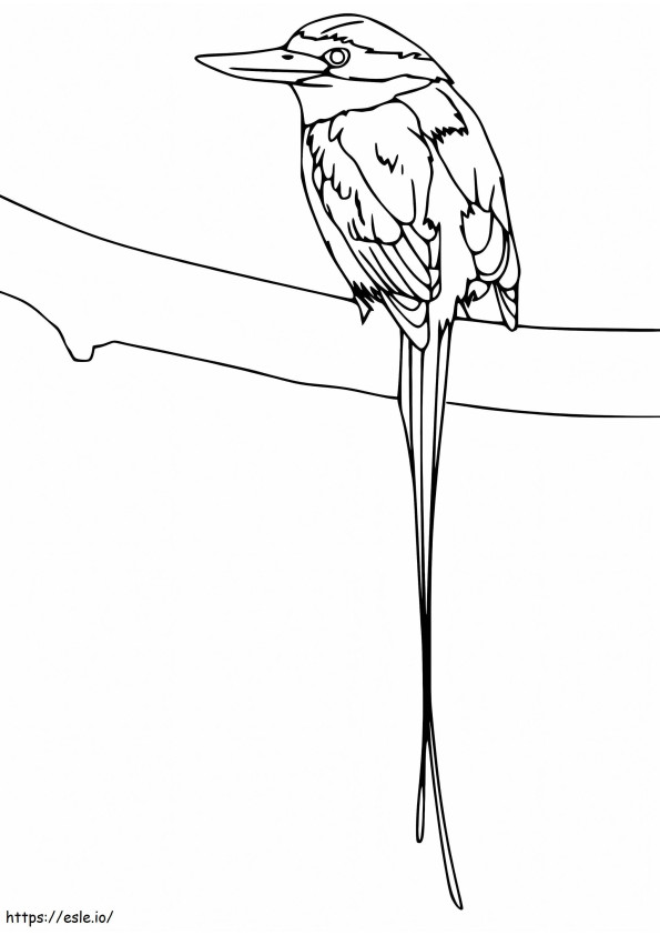 枝の上の極楽鳥 ぬりえ - 塗り絵