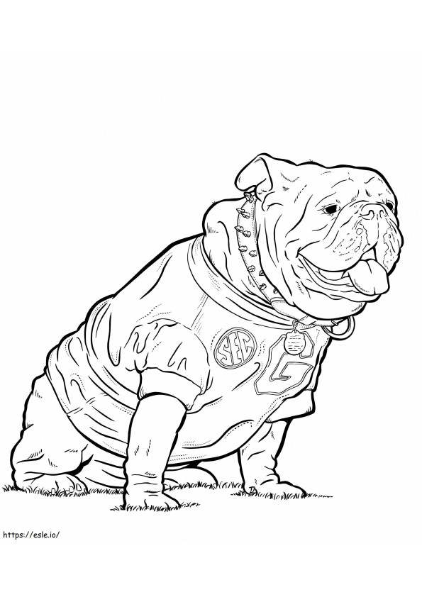 Bulldog De Georgia Gambar Mewarnai