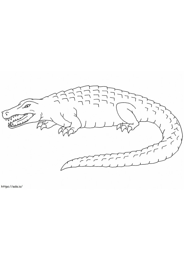Grote alligator kleurplaat