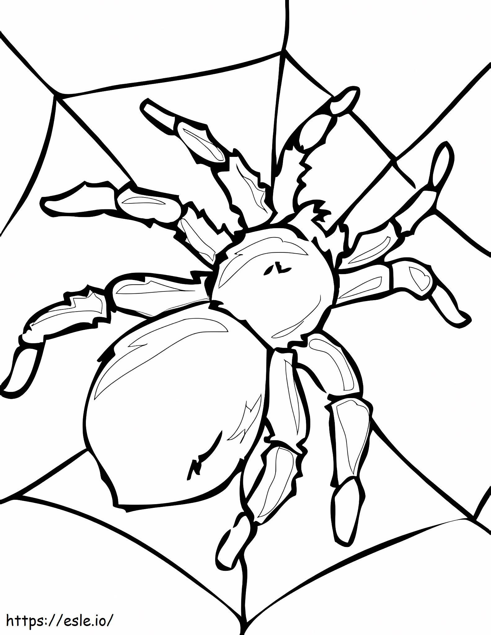 Coloriage Araignée à imprimer dessin
