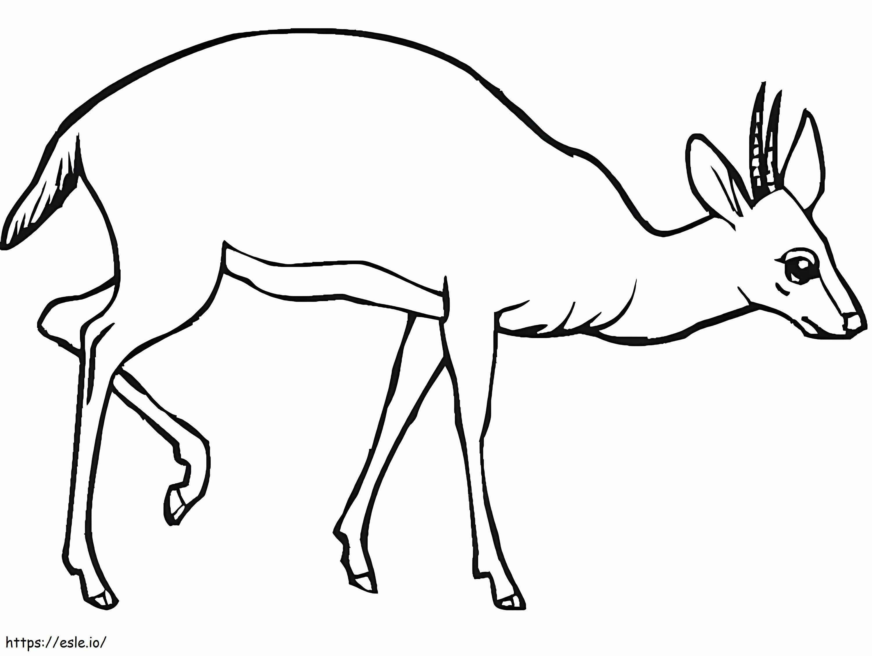 Druckbare Antilope ausmalbilder