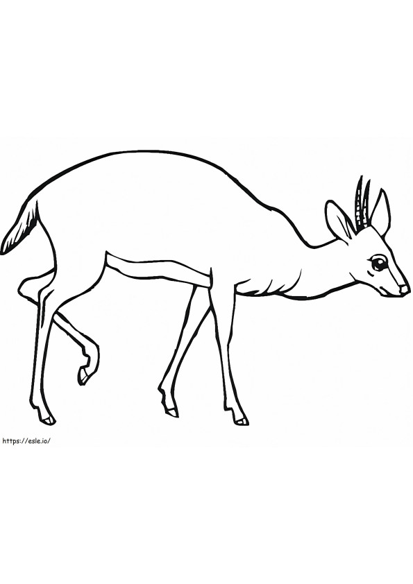 Afdrukbare antilope kleurplaat
