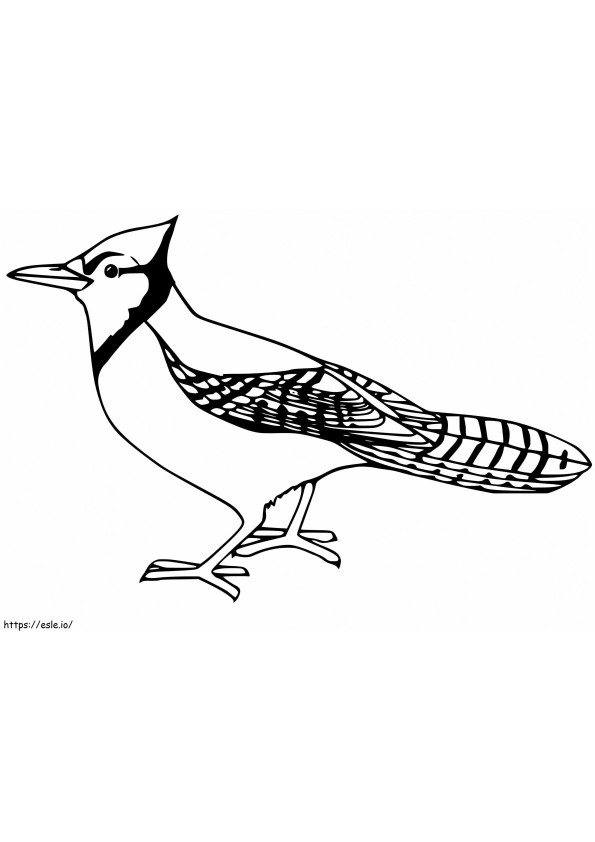 Blue Jay 2 coloring page