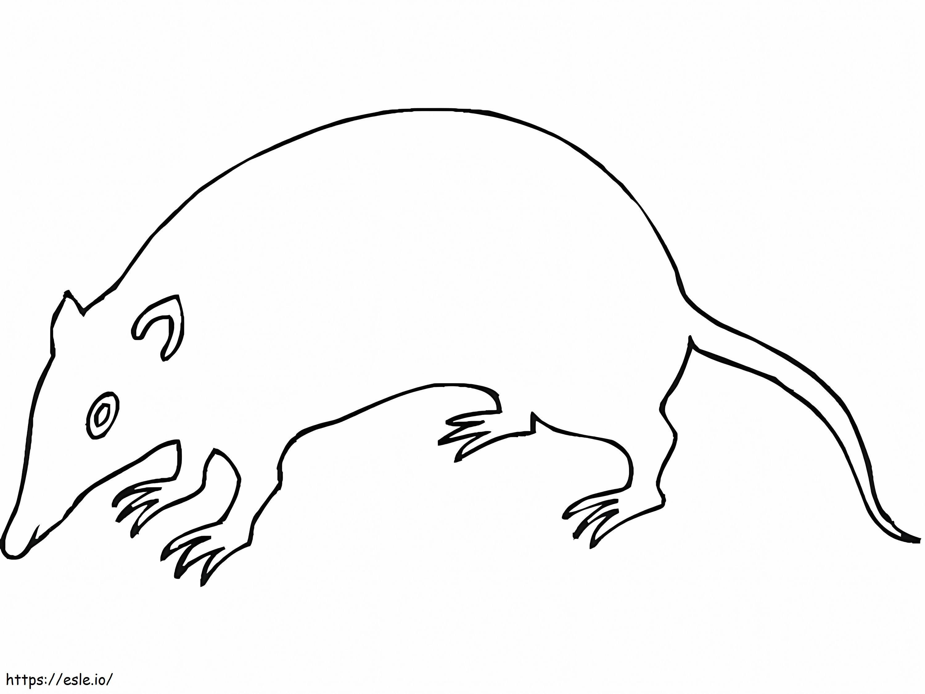 Coloriage Rat très facile à imprimer dessin
