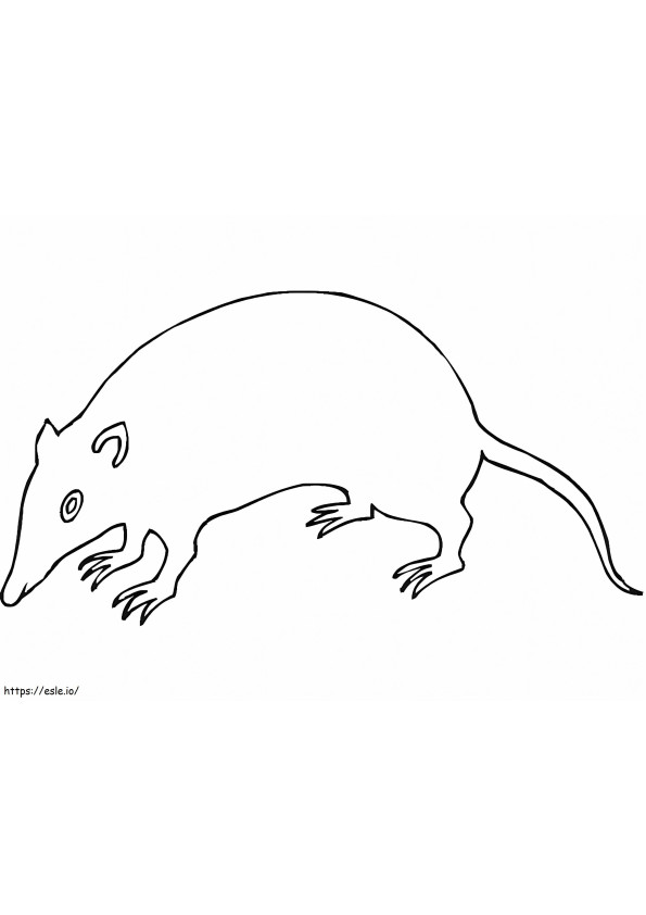 Coloriage Rat très facile à imprimer dessin