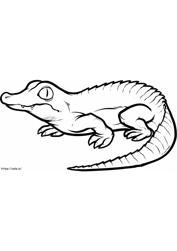 Coloriage 1528532804 Crocodilea4 à imprimer dessin