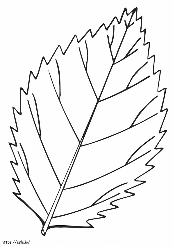 1526979284 Elm A4 coloring page