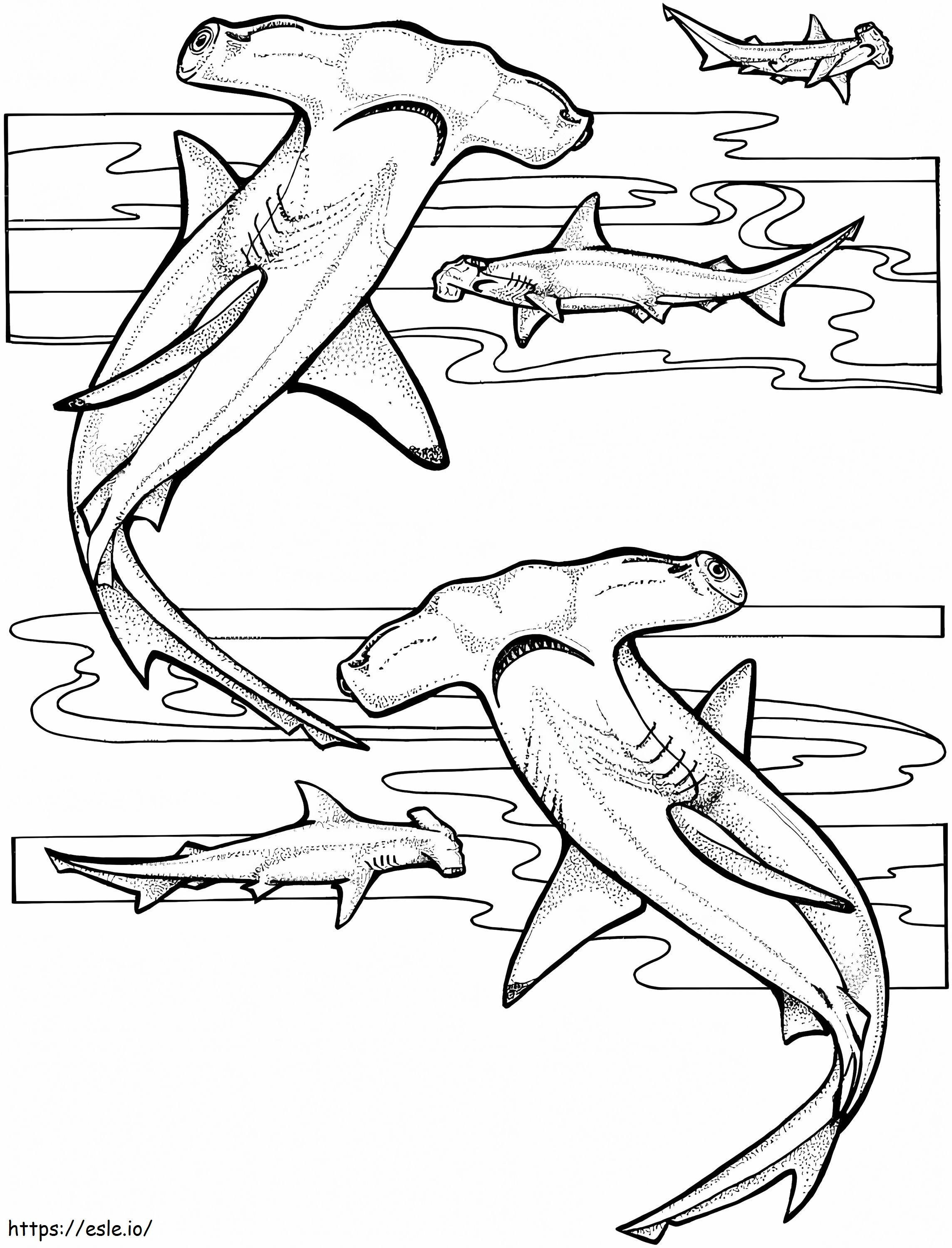 Hammerhead Sharks coloring page