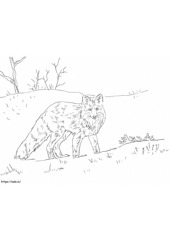 Red Fox In The Snow 1024X768 coloring page