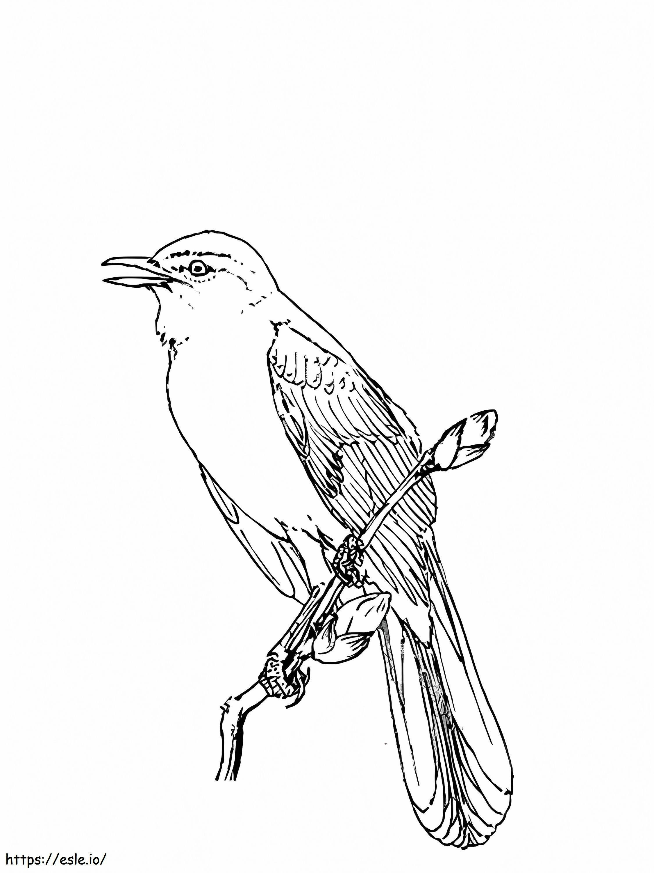 M Is For Nightingale coloring page