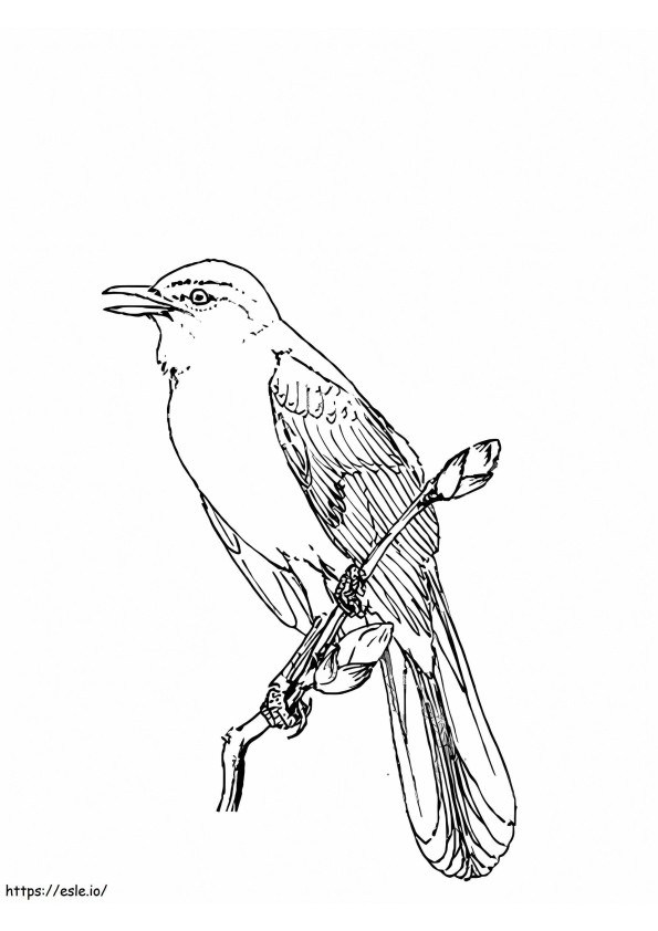 M Is For Nightingale coloring page