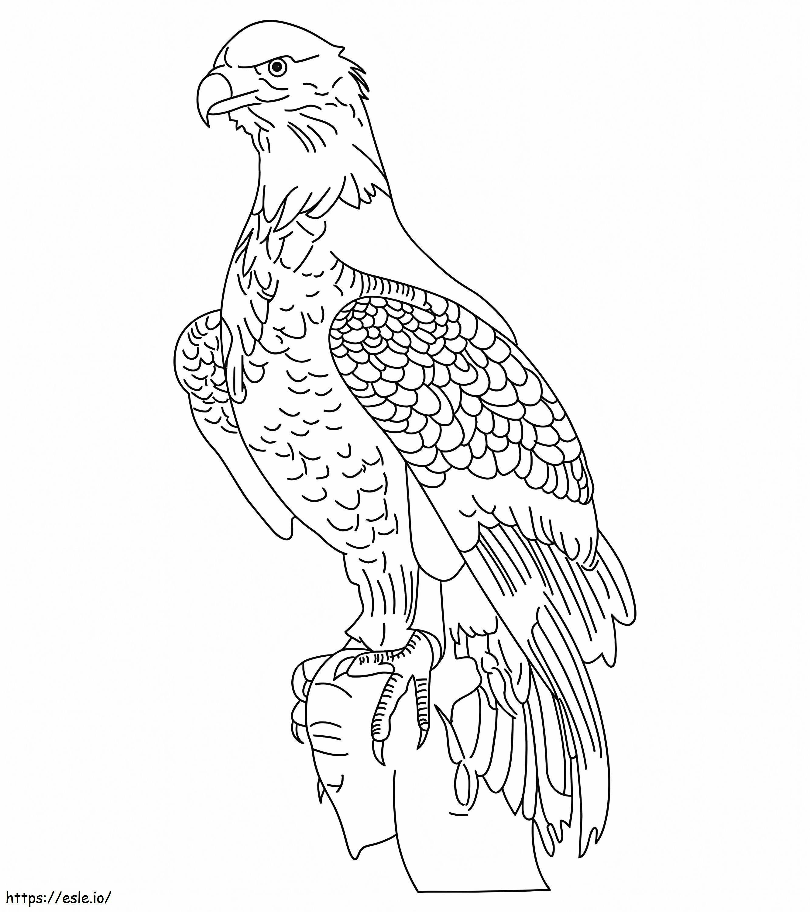 Perus Eagle värityskuva