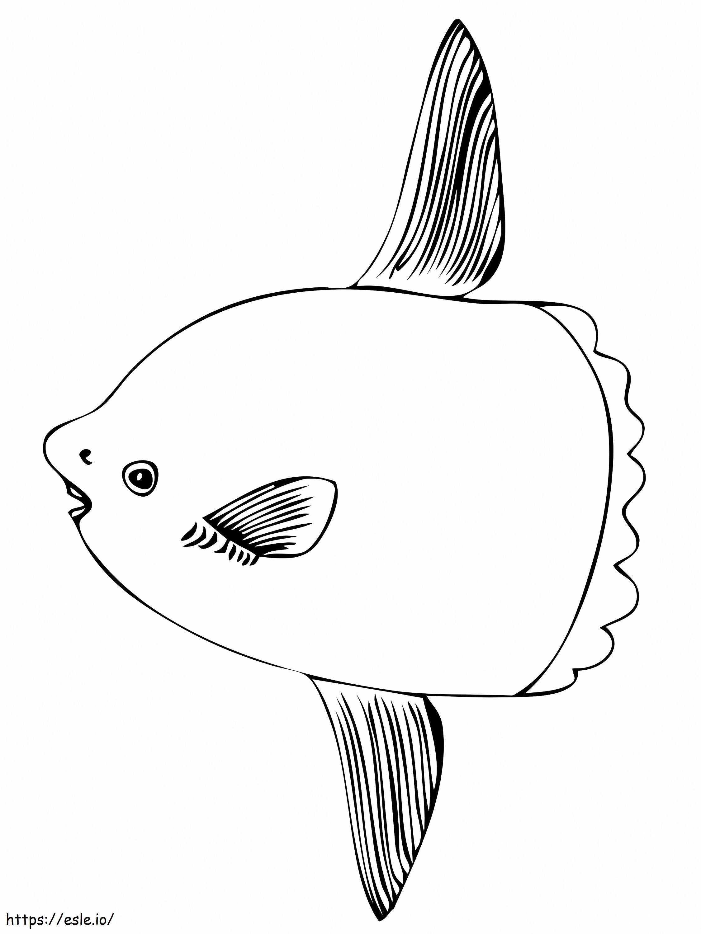 Free Sunfish coloring page