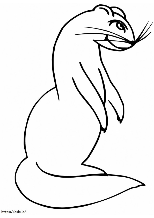 Ferret 2 coloring page
