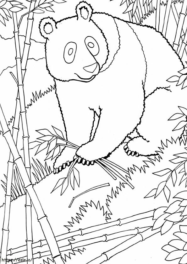 竹の木を持つパンダ ぬりえ - 塗り絵