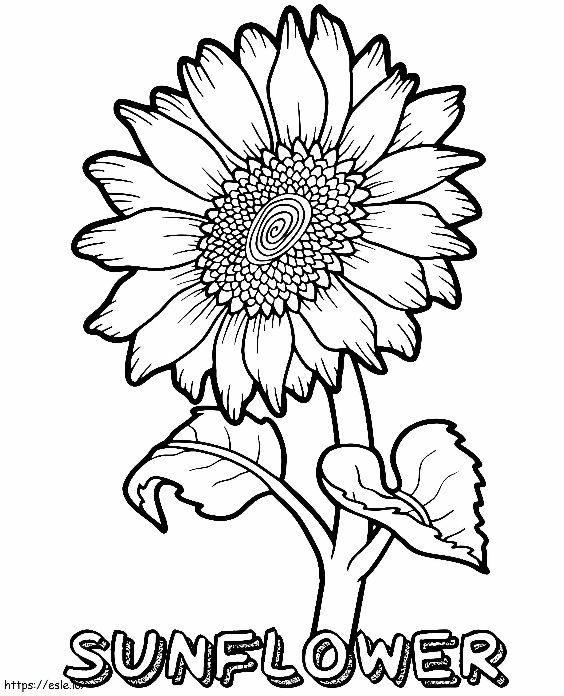 A Big Sunflower coloring page