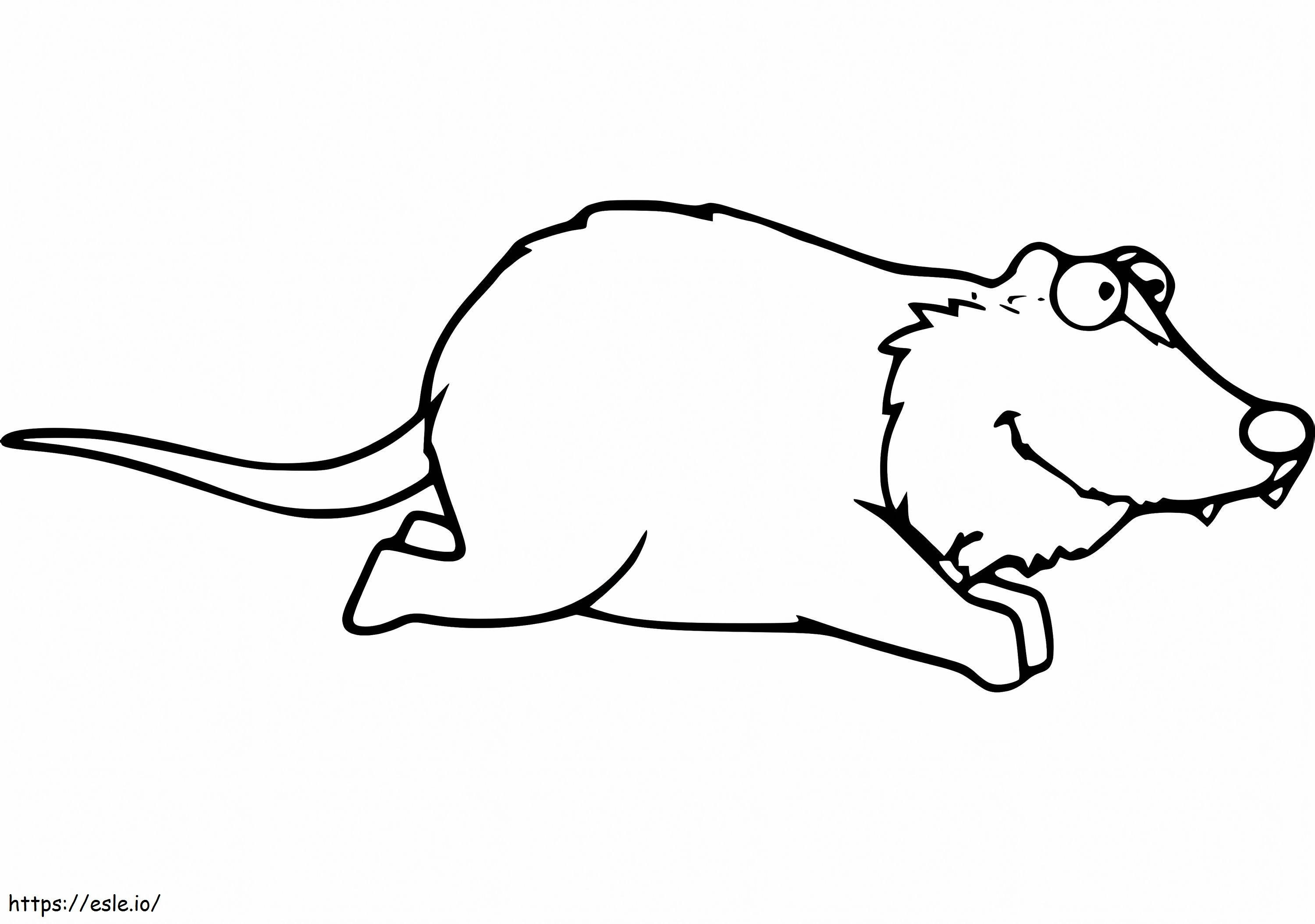 Funny Opossum coloring page