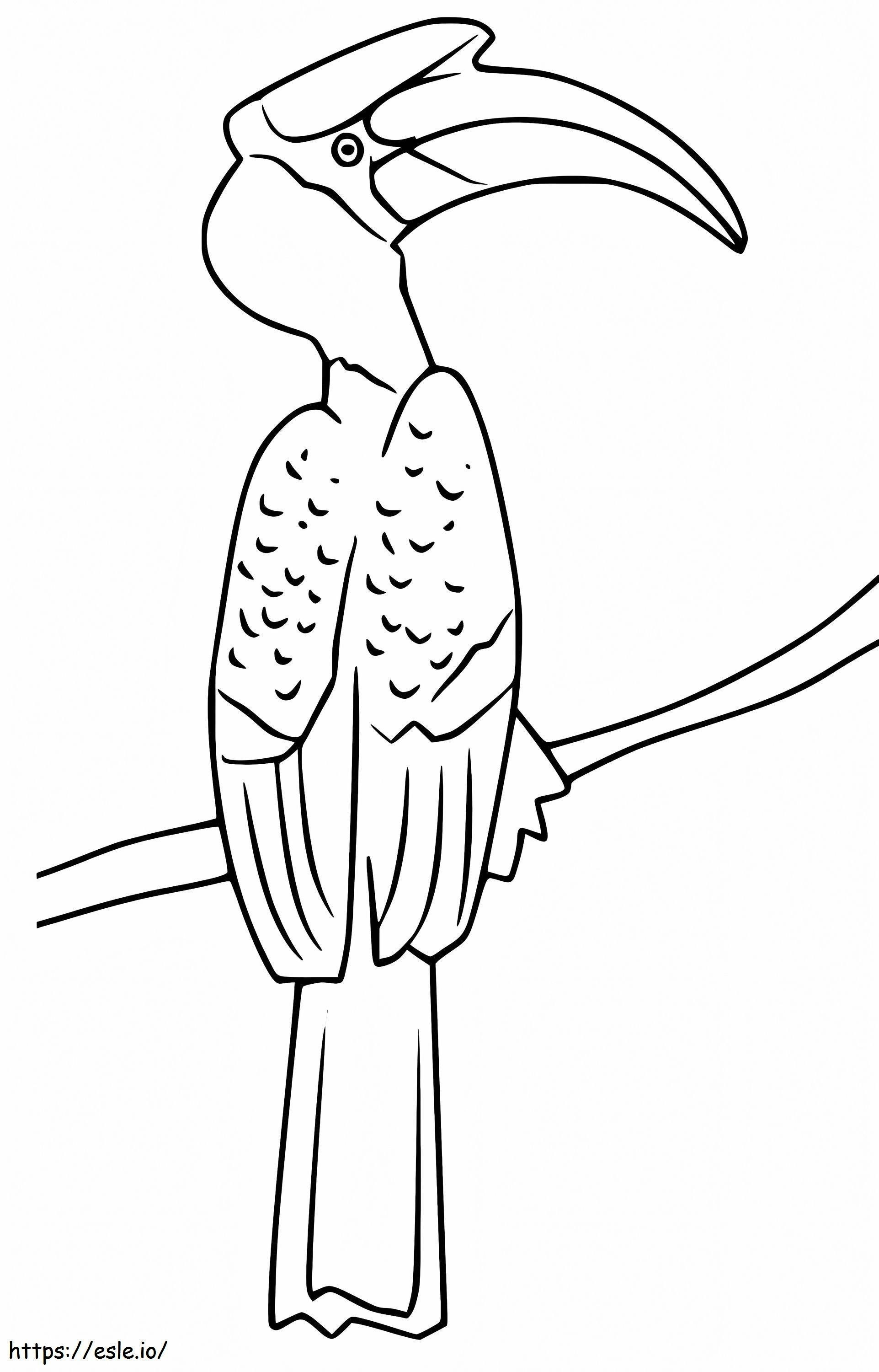 Hornbill On A Branch coloring page