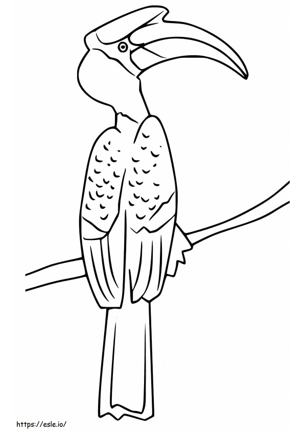 Hornbill On A Branch coloring page