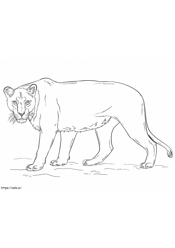 Löwin 1
