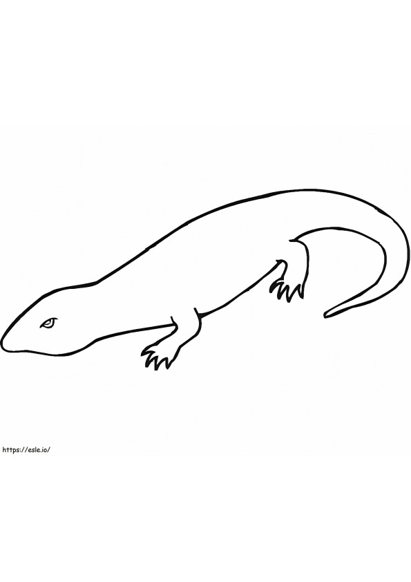 Coloriage Salamandre simple à imprimer dessin